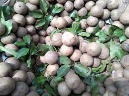 Its shape is different from other fruits. Seasonal Fruits Are Excellent Natural Ingredients My Market Friday Hive
