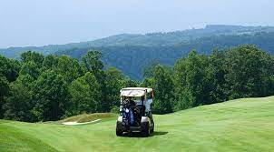 Similarly, what is the best gas golf cart engine? How Fast Can A Golf Cart Go Golf Storage Ideas