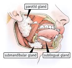 How to get rid of dry mouth. Dry Mouth Don T Delay Treatment Fda