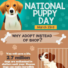 Go to the dog park and let your. National Puppy Day Remember Adopt Don T Shop Pettrax