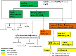 Generic Organogram Of District Hospitals In Kenya Medical