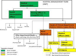 generic organogram of district hospitals in kenya medical