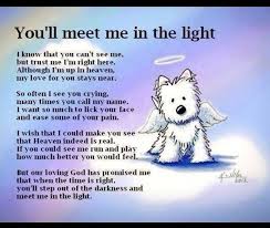 You Ll Meet Me In The Light A Poem For The Passing Of A Dog Pet Loss Dog Quotes Rainbow Bridge