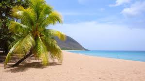 Guadeloupe Basseterre Grandeterre Mariegalante Desirade La Guadeloupe Surnomme L Ile Papillon Com Beaches In The World Caribbean Islands Beautiful Beaches