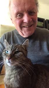 Niblo is making sure I stay healthy and demands I entertain him in  exchange... cats 🤷🏼‍♂️