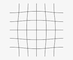 Two eyes and three dimensions. Grid Svg Light Blue Spherical Lens Distortion Png Image Transparent Png Free Download On Seekpng