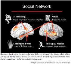 Autism spectrum disorder (asd) is a neurodevelopmental disorder characterized by deficits in social communication and social interaction and the presence of restricted, repetitive behaviors. Autism Spectrum Disorder Dartmouth Undergraduate Journal Of Science