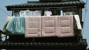 Find here online price details of companies selling cotton mattresses. Shikibuton Buyer S Guide The Traditional Japanese Futon Mattress Dengarden