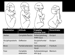 Image result for Face Presentation