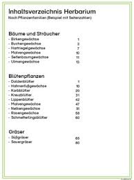 Mit kindern ein herbarium gestalten. Herbarium Deckblatt