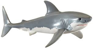 Pin On Fun With Sharks