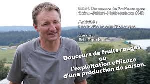 Douceurs De Fruits Rouges Ou L Exploitation Efficace D Une Production De Saison Demain Fr