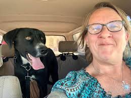 Manhattan ACC: BEYOND CRITICAL ‼️ He was dumped.😠 Good with kids, cats and  other dogs‼️‼️‼️ KILL LISTED for 5/29/25 📣📣📣📣 🚨🚨🚨🚨🚨🚨🚨🚨🚨🚨🚨  🆘️🆘️🆘️🆘️🆘️🆘️🆘️🆘️🆘️🆘️🆘️  https://www.facebook.com/mldsavingnycdogs/posts/great ...