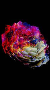 Available for hd, 4k, 5k pc, mac, desktop and mobile phones 4k Amoled Lotus Wallpaper Cool Backgrounds