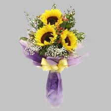 Beli produk biji bunga matahari berkualitas dengan harga murah dari berbagai pelapak di indonesia. Buket Bunga Matahari Jabodetabek Terpercaya Floristbagus