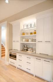Kitchen Cabinets Kitchen With Open Shelves Cabinets Kitchen Cabinet Kitchen Pantry Design Kitchen Pantry Cabinets Kitchen Cabinets Makeover