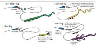 Floating Sinking Rattling And Leader Rigs For Carolina Rigging For Bass Fishing Rigs Fish Kayak Fishing Tips