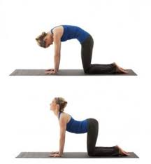Known as heart opening pose, camel. Cat Camel Articulation Equilibrium Sports And Spinal Clinic
