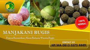 Ini petua orang lama untuk kecantikan dalaman. Hp Wa 0813 5575 4449 Jual Manjakani Herbal Wanita Medium