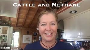 Greg Brann Adaptive Grazing Management