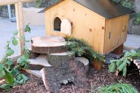 Pin Von Shani Roberts Auf Home Ideas Backyard Meerschweinchen Meerschweinchenstall Meerschweinchen Aussengehege