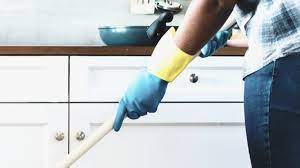 Use hot water and detergent to clean any bacteria. After The Infestation How To Disinfect After Mice Insect Cop