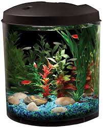 Api Aquaview 180 Aquarium Kit With Led Lighting And Internal Filter 3 1 2 Gallon Small Fish Tanks Freshwater Aquarium Fish Diy Fish Tank