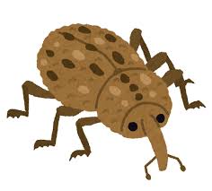 オリーブの木につく害虫と益虫について 天敵を利用した防虫方法 生活110番ニュース