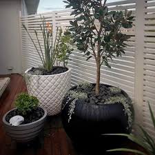 The Balcony Garden Featured Projects By Octopus Garden Design Gardendesign Landscapedesign Gardenpot Pots Style Succulents Dichondra Landscaping Pl