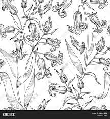Encontre imagens stock de designed borders floral pattern em hd e milhões de outras fotos, ilustrações e imagens vetoriais. Floral Etching Vector Photo Free Trial Bigstock