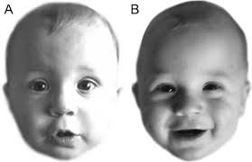 Example match trial from Experiment 1. Both images (A) and (B) show the... 