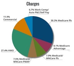 Mha Mn Hospitals Hospital Financing 101