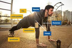 Sans elle, l'eau ne circule pas, elle ne passe pas dans le filtre et les produits de traitement (désinfectants, correcteurs chimiques, etc) ne se diffusent pas dans le bassin. Quels Sont Les Muscles Sollicites Par Les Pompes Reponse Detaillee