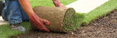Hallo, sie möchten vom gartentraum zum traumgarten?wir. Rollrasen Wie Verlegt Man Rollrasen Liebe Deinen Garten