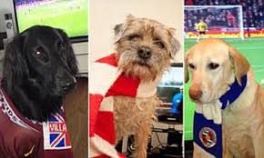 The full back was heavily inked before his latest. Premier League Dog Football Fans Final 12 Announced Daily Mail Online