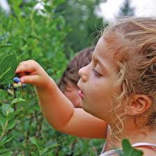 Farmers harvest social media for customers, ideas