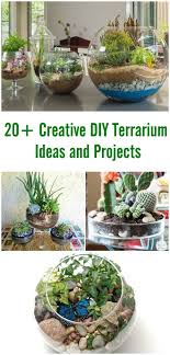 20 Creative Diy Terrarium Ideas And Projects Craft Garden Terrarium Terrarium Diy How To Make Terrariums Terrarium