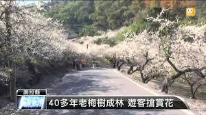 Chinese etymology 字源, chinese character history and ancient chinaese character (orachle characters, bronze characters, seal characters, shuowen jiezi, liushutong) analysis and research 汉字历史和古汉字(甲骨文, 金文, 篆字, 说文解字, 六书通)研究与分析. 2015 01 09 ä¿¡ç¾©é„‰ä¸‹æ¢…èŠ±é›ªå¸å¼•éŠå®¢æœè– Udn Tv å½±éŸ³ å—æŠ•ä»æ„›é„‰ä¸‹é›ªäº†
