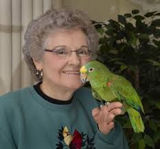 A birthday to squawk about: Parrot celebrates 60th with a party