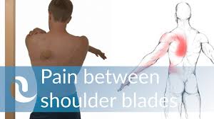 Hold your right arm out and across your chest. Relieve Pain Between Your Shoulder Blades Youtube