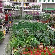 Stabilite în general la marginea marilor orașe, magazinele leroy merlin sunt centre mari (în medie 9000 m2) care oferă servicii de autoservire și asistență de vânzare. Leroy Merlin Cluj Napoca JudeÈ›ul Cluj