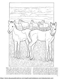 Tips mewarnai kuda poni beserta contoh gambarnya. Mewarnai Gambar Keluarga Kuda Poni Ebook Anak