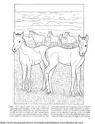 Beli buku mewarnai kuda poni 'my little pony' di the park solo baru libur sekolah, ada my little pony di the park mall. Mewarnai Gambar Keluarga Kuda Poni Ebook Anak