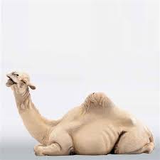 Few animals are more useful to mankind than the camel and the dromedary. Dromedar Liegend Rustika Heide Krippenfiguren Bekleidet Und Unbekleidet Holzfiguren Krippenfiguren Durr Krippen Krippenfiguren Und Zubehor