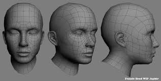 Head Perspectives Face Topology Female Head Model