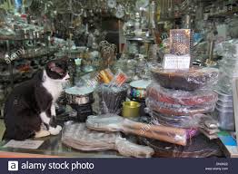 china, hong kong, hk, asia, chinese