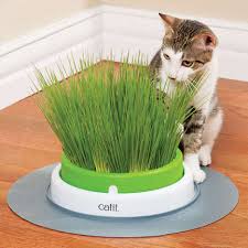 Catit 43161 Senses 2 0 Grass Planter Kedi Cimi Oyun Merkezi Kedi Oyuncaklari Tuy Yumagi Kontrolu Sindirim Sistemi Catit