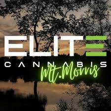 Elite Cannabis - Mt. Morris - Recreational Menu, Reviews, Deals - Weed  Dispensary in Mt Morris, Michigan