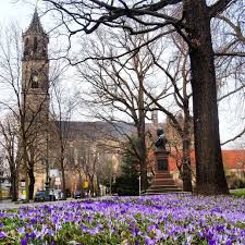 Nun Wird Es Endlich Fruhling In Der Hebelstrasse In Magdeburg Bluhen Die Krokusse Das Denkmal In Der Mitte Zeigt Frie Magical Places Germany Travel Instagram