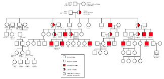 queen victorias family tree with hemophilia genetic markers